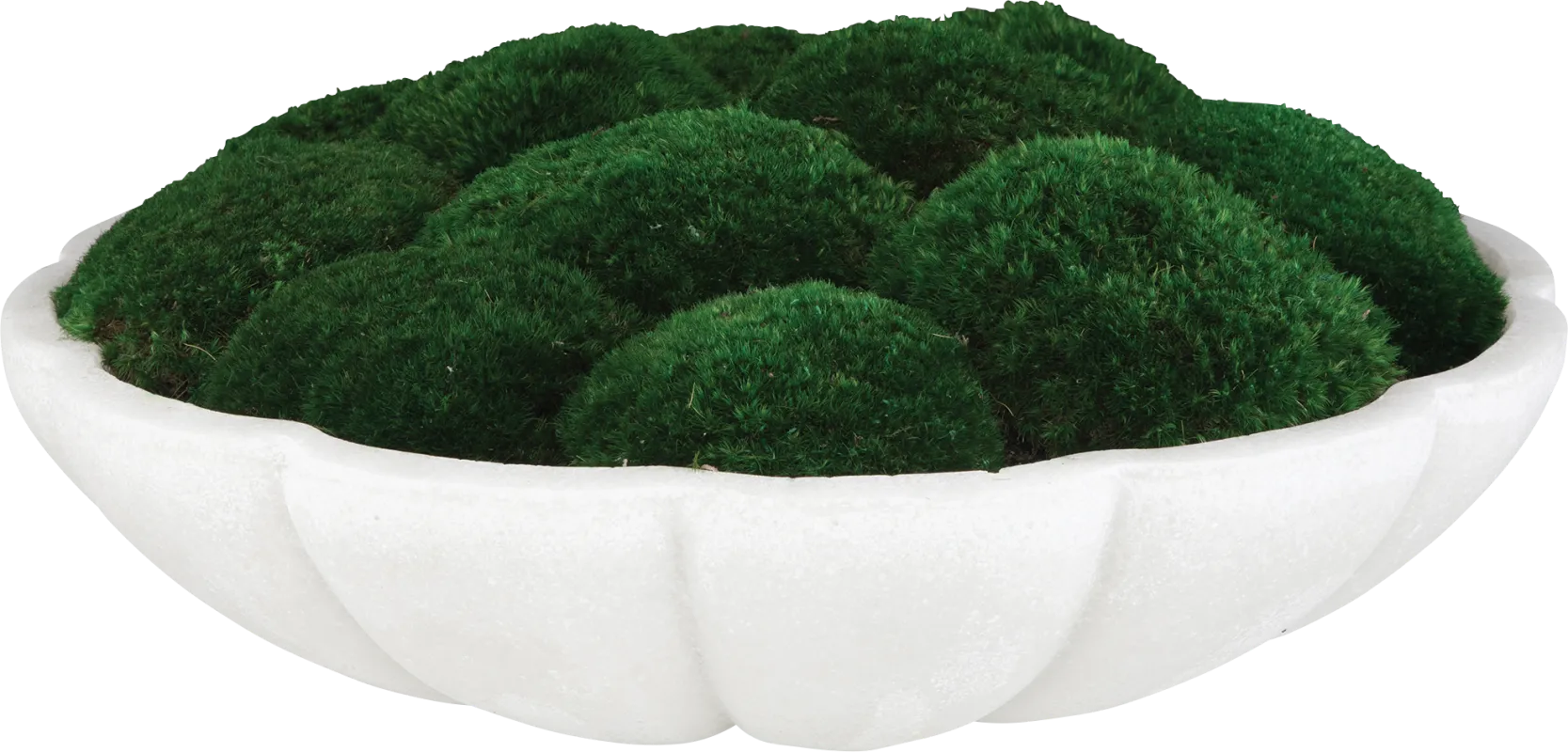 Alrine Green Silk Plant