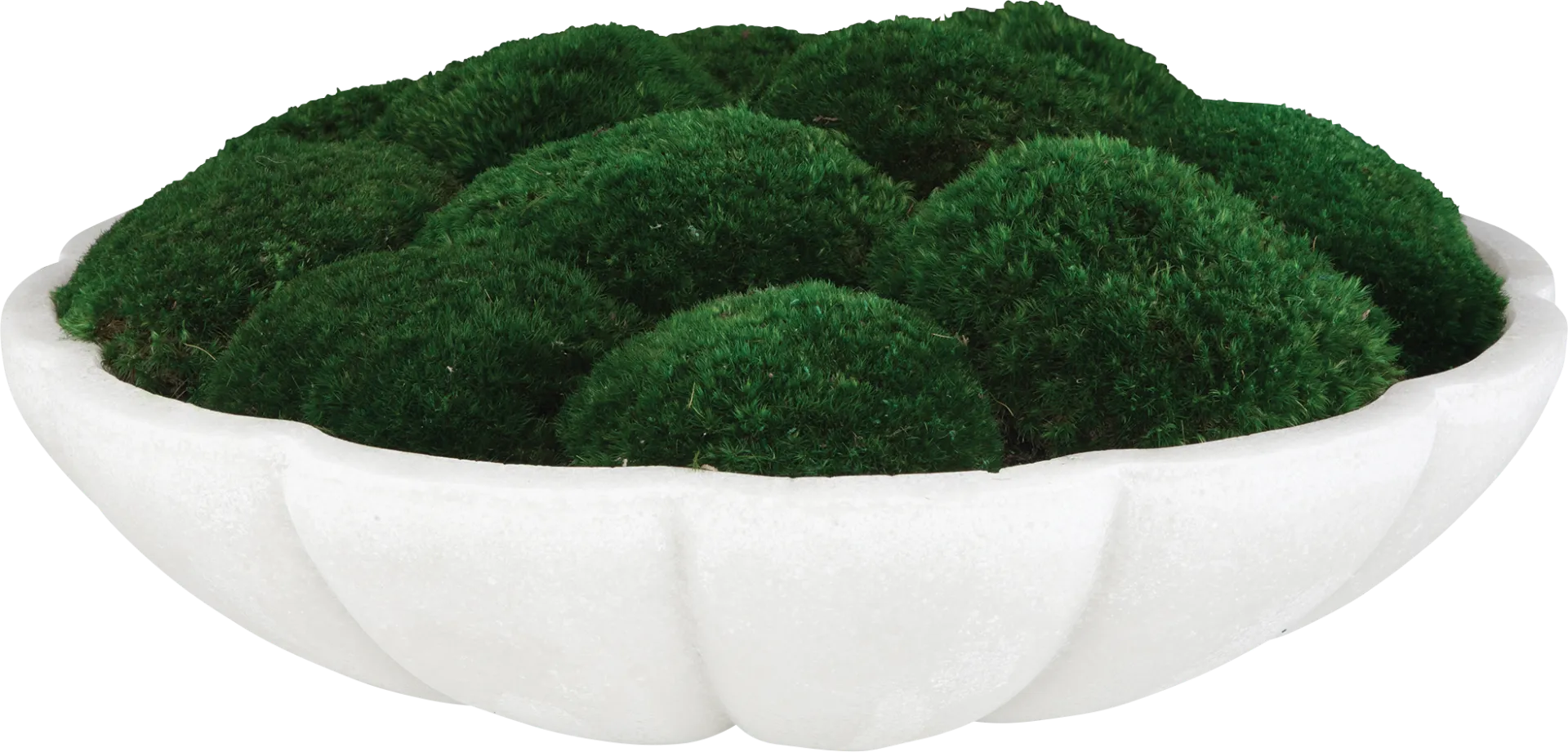 Alrine Green Silk Plant - Image 1