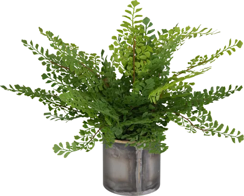 Daski Green Silk Plant