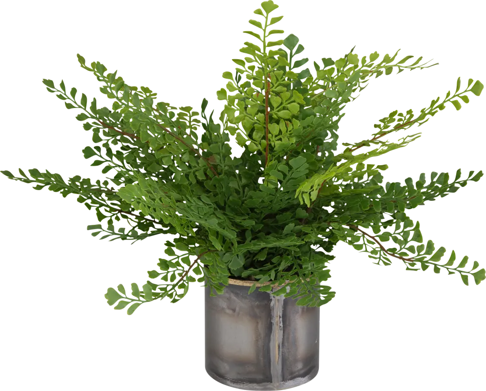 Daski Green Silk Plant