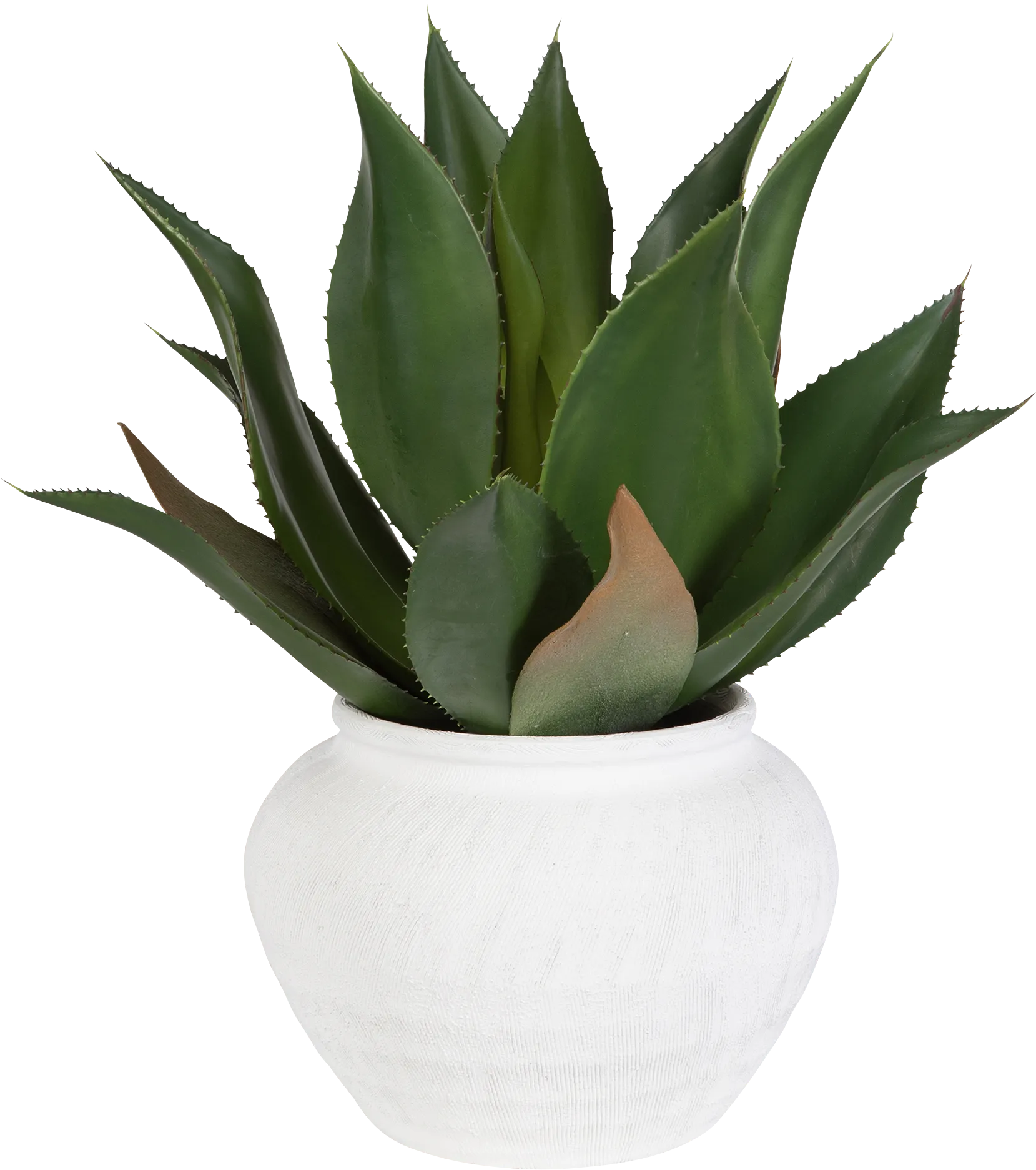 Billine Green Silk Plant