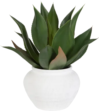 Billine Green Silk Plant