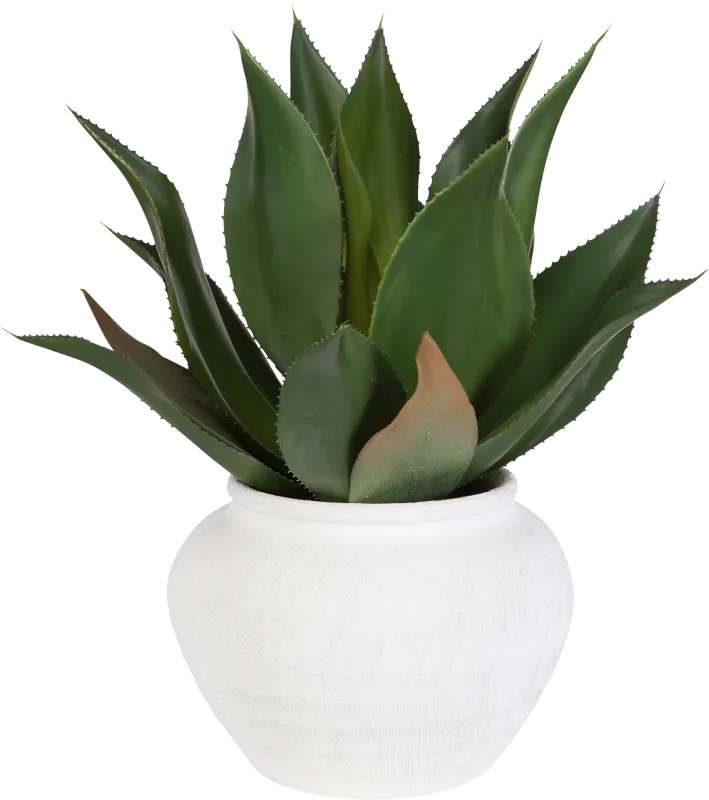 Billine Green Silk Plant