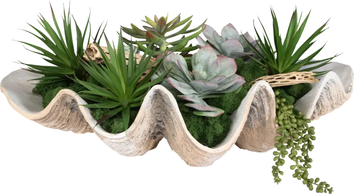 Nalula Green Silk Plant