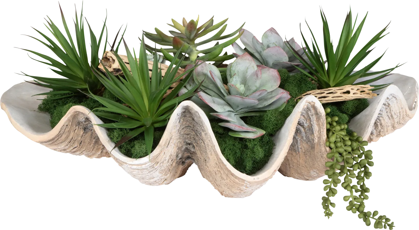 Nalula Green Silk Plant