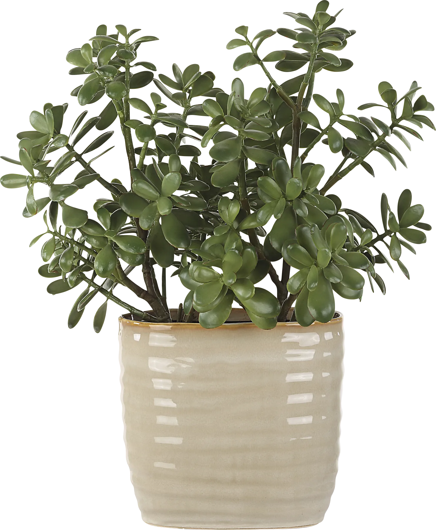 Hallo Beige Silk Plant - Image 1