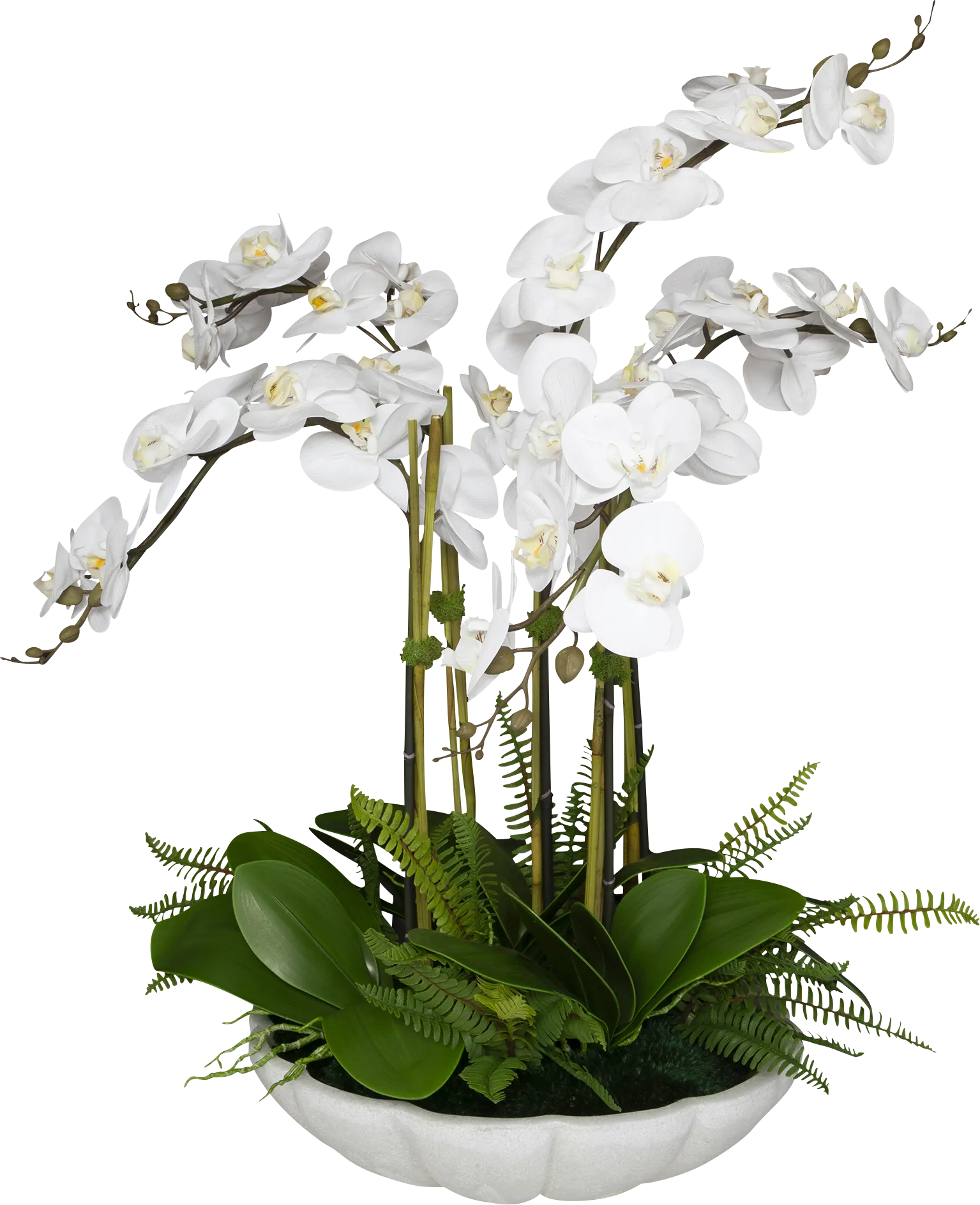 Delina White Silk Plant - Thumbnail - Image 1