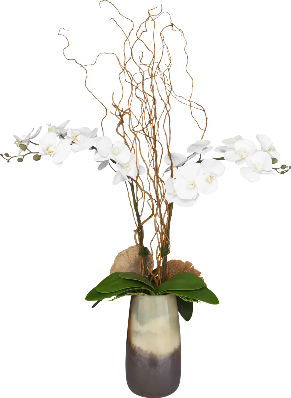 Andile White Silk Floral