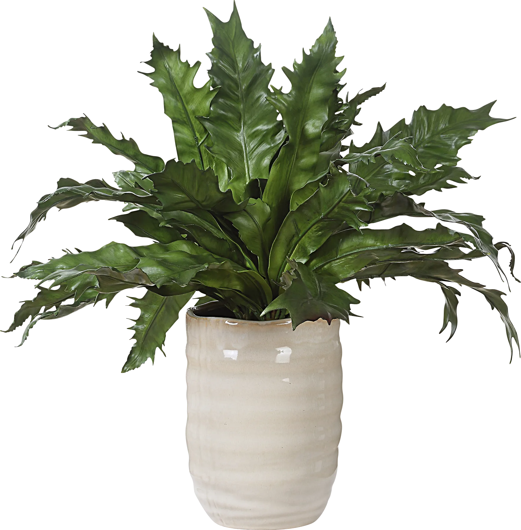 Havane Tan Silk Plant - Image 1