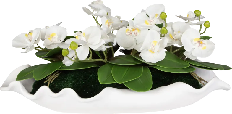 Jalaf White Silk Floral