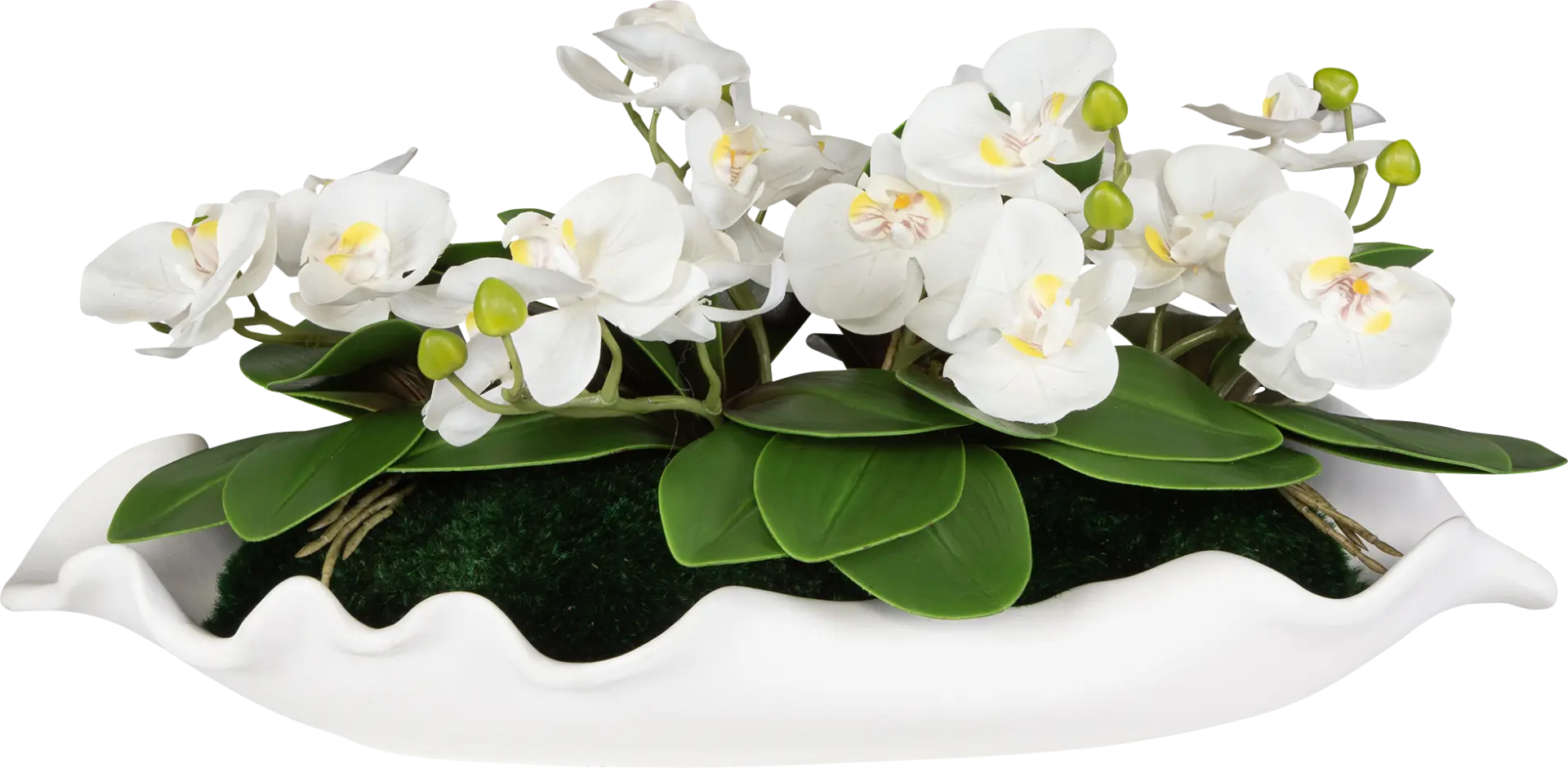 Jalaf White Silk Floral