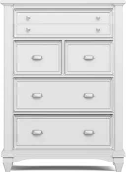 chest