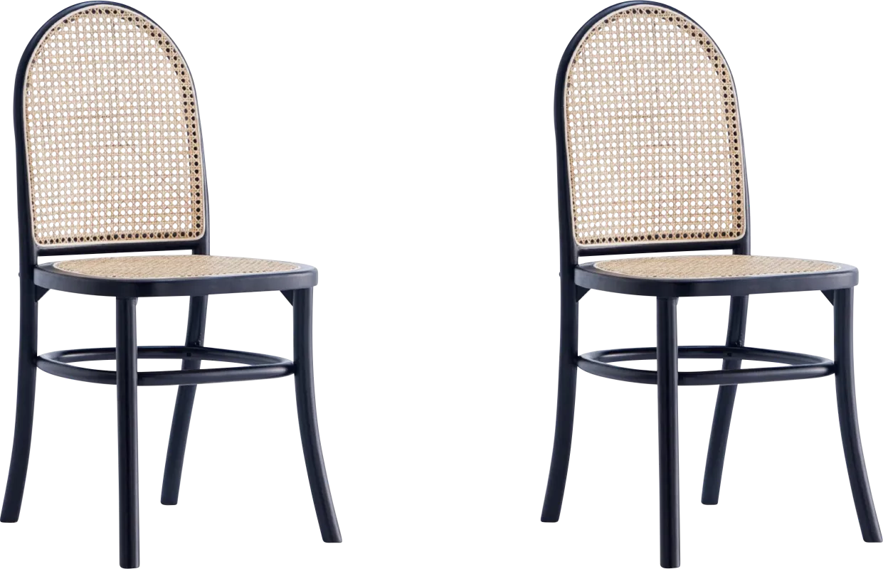 Heartnite Black Dining Chair, Set of 2