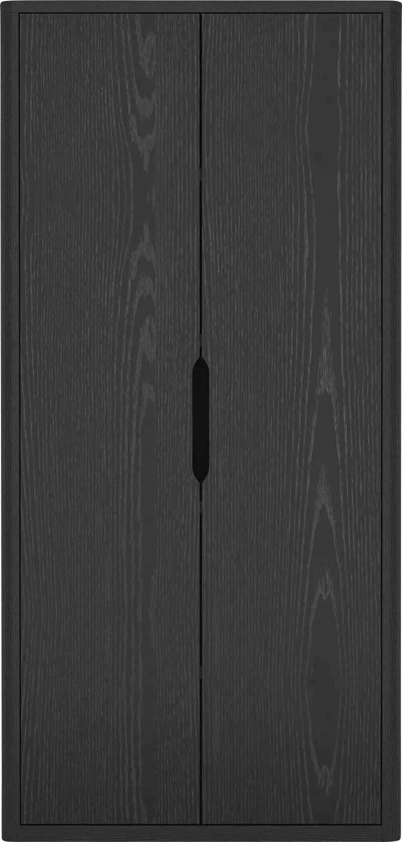 Shadebooks II Black Storage Cabinet