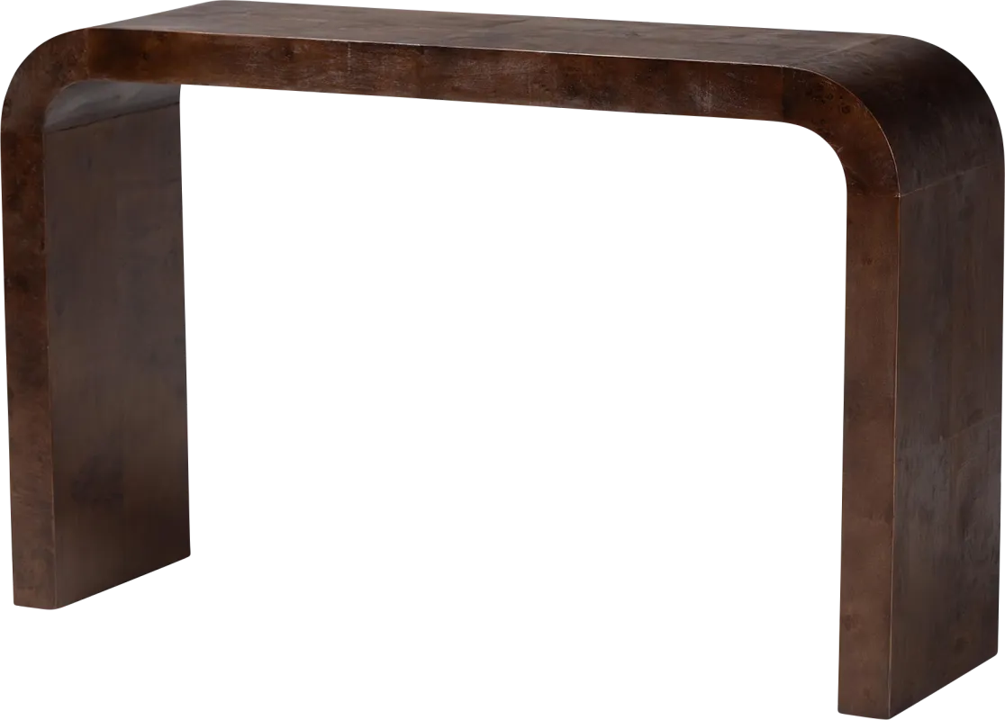 Driftfruit Dark Brown Console Table
