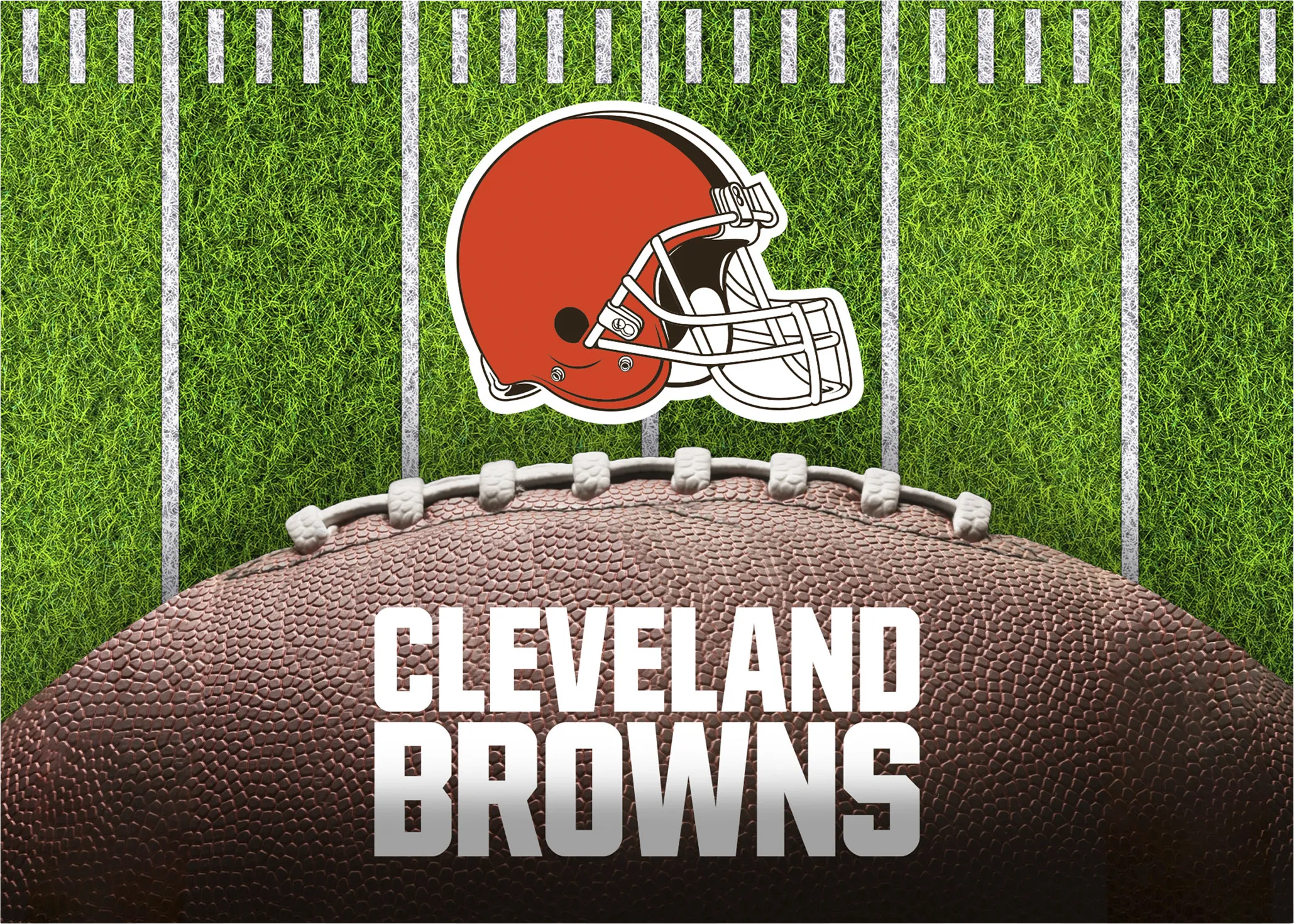 Cleveland Browns 5' x 7' Machine Washable Rug