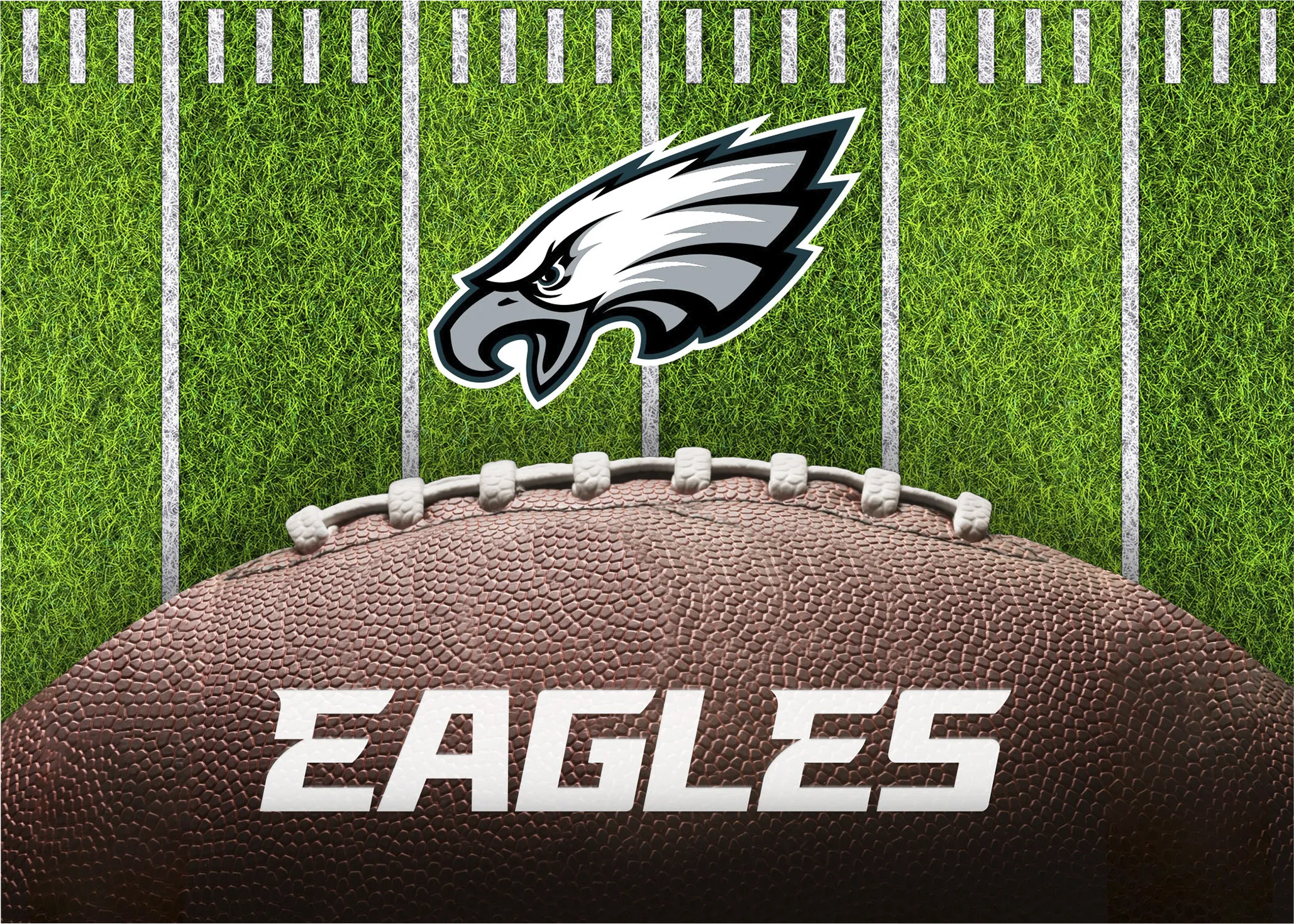 Philadelphia Eagles 5' x 7' Machine Washable Rug - Thumbnail - Image 1