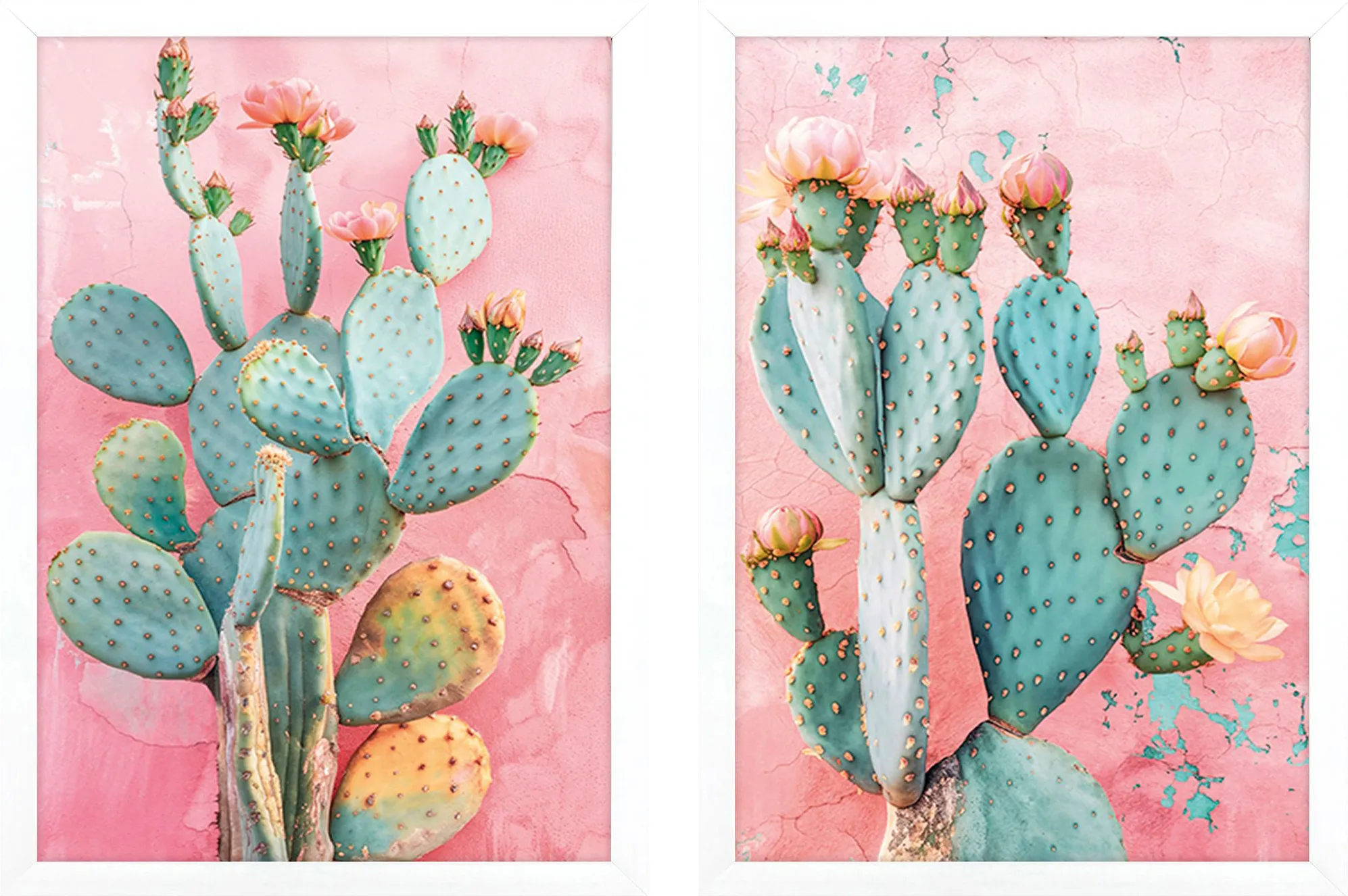 Cactus Blushing Pink Artwork, Set of 2 - Thumbnail - Image 1