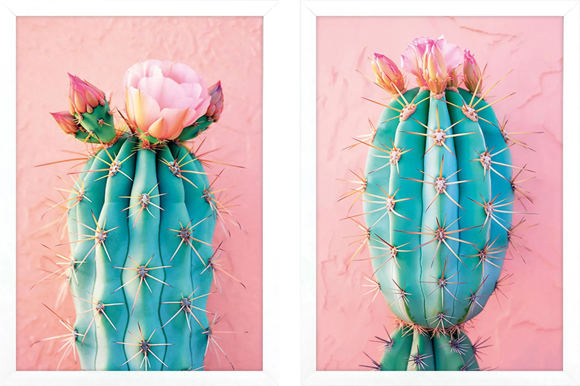 Cactus Blushing II Pink Artwork, Set of 2 - Thumbnail - Image 1