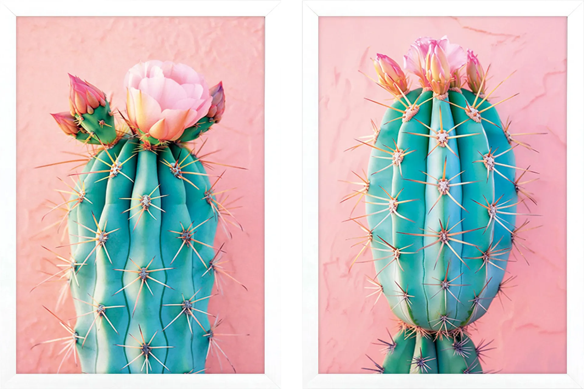Cactus Blushing II Pink Artwork, Set of 2 - Image 1