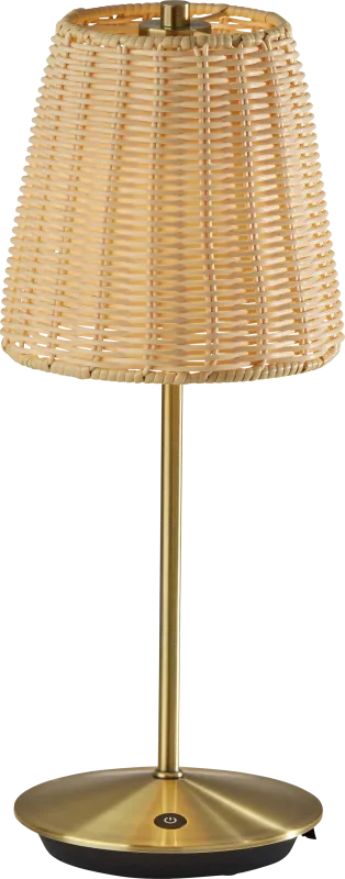 Bortle Vista Brass Lamp