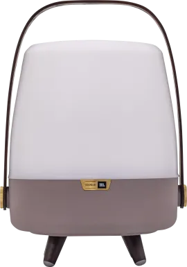 Buzzylectrics Brown Outdoor Lamp