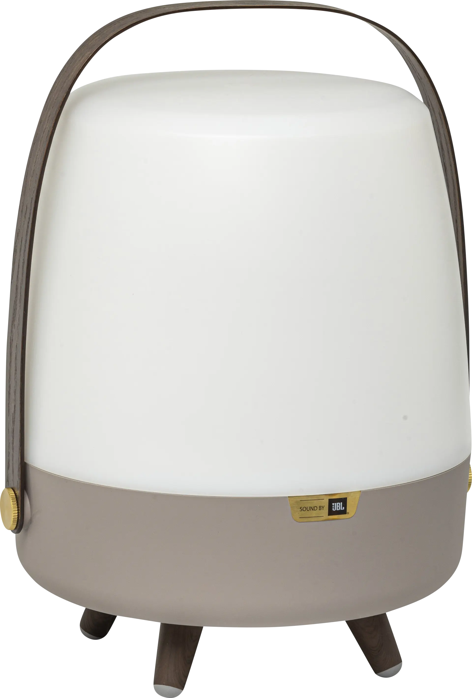 Buzzylectrics Large Brown Outdoor Lamp