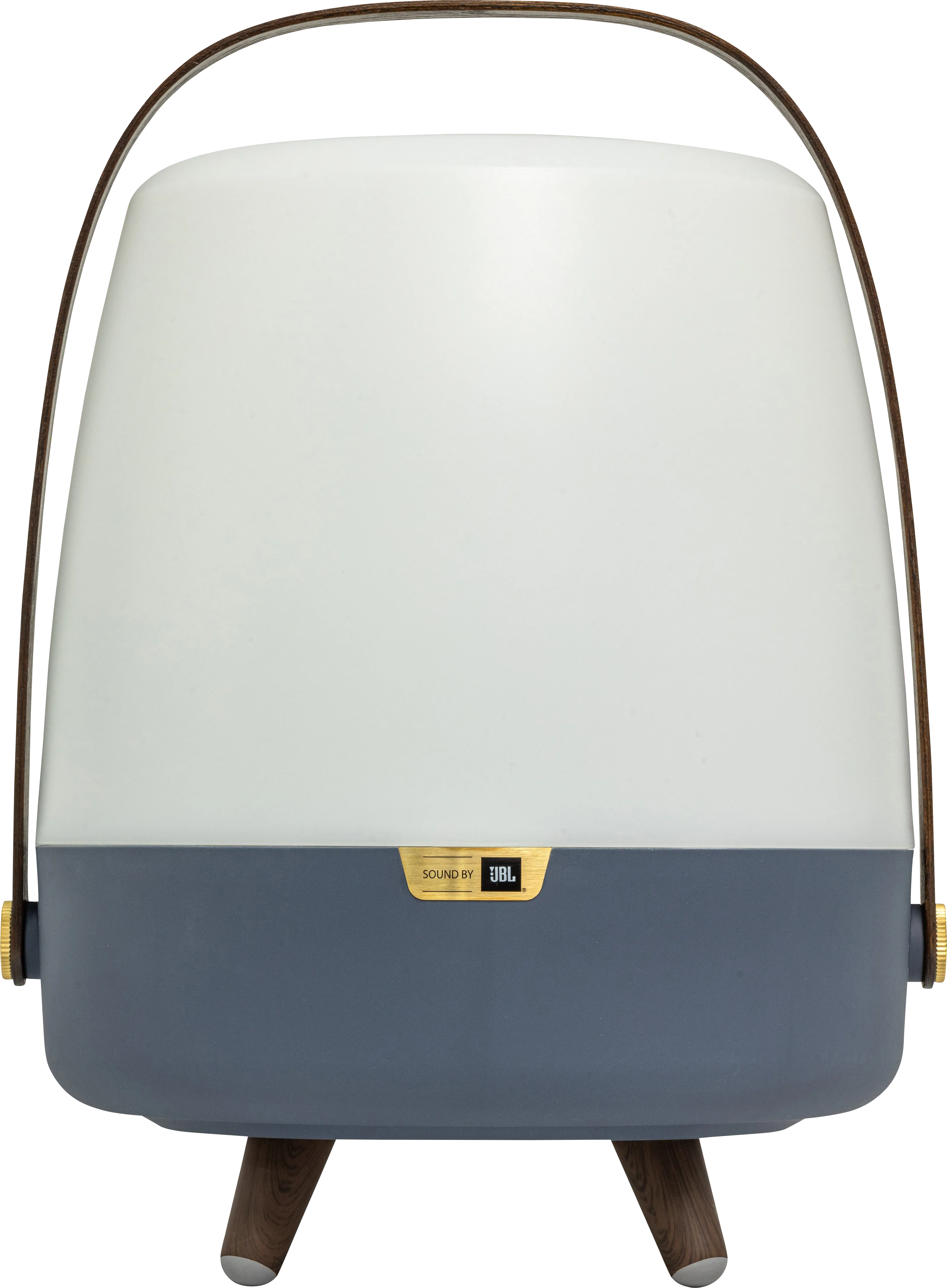 Buzzylectrics Large Blue Outdoor Lamp - Thumbnail - Image 1