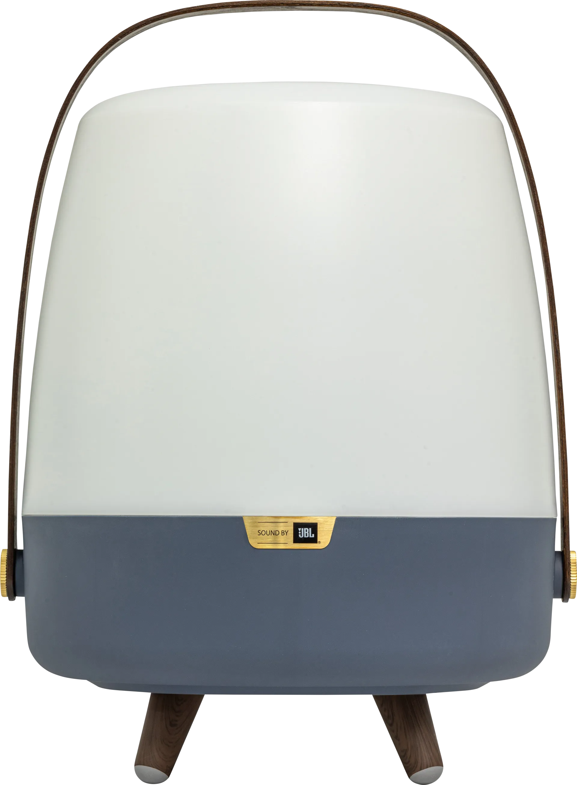 Buzzylectrics Large Blue Outdoor Lamp - Image 1