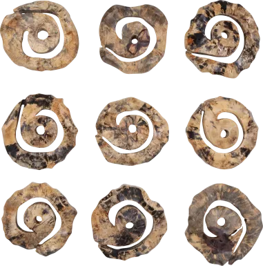 Ceska Brown Wall Decor, Set of 9