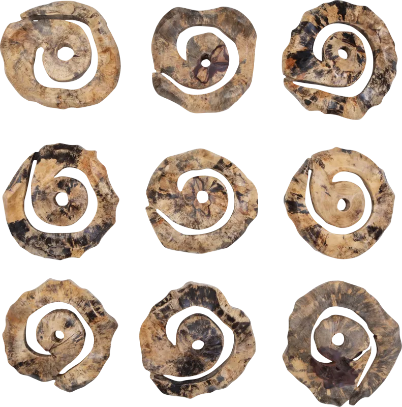 Ceska Brown Wall Decor, Set of 9