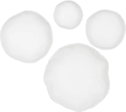 Encas White Wall Decor, Set of 3