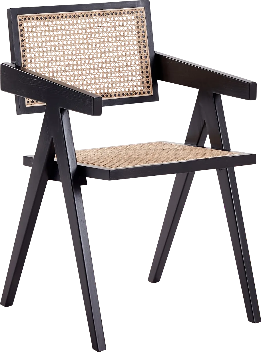 Bluesunny Black Arm Chair - Thumbnail - Image 1