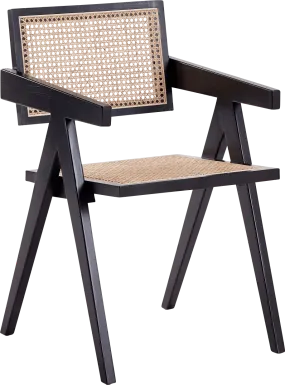 Bluesunny Black Arm Chair