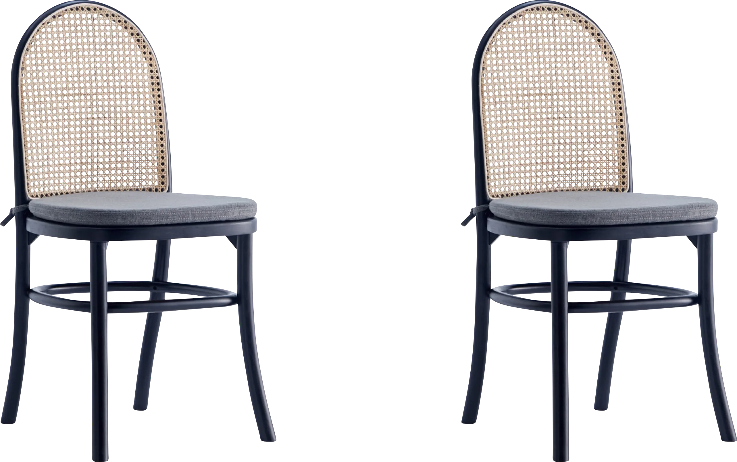 Fruitser Black Side Chair, Set of 2 - Thumbnail - Image 1