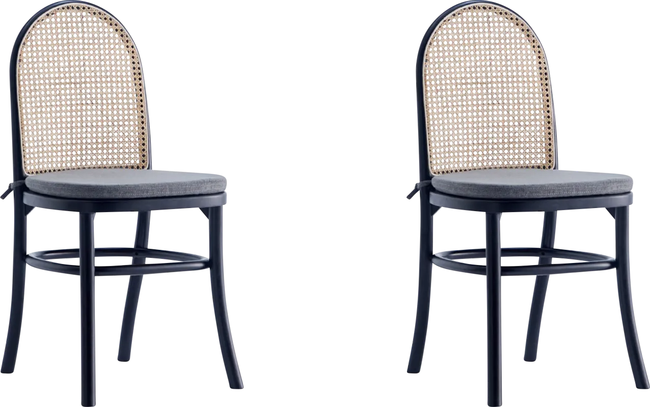 Fruitser Black Side Chair, Set of 2