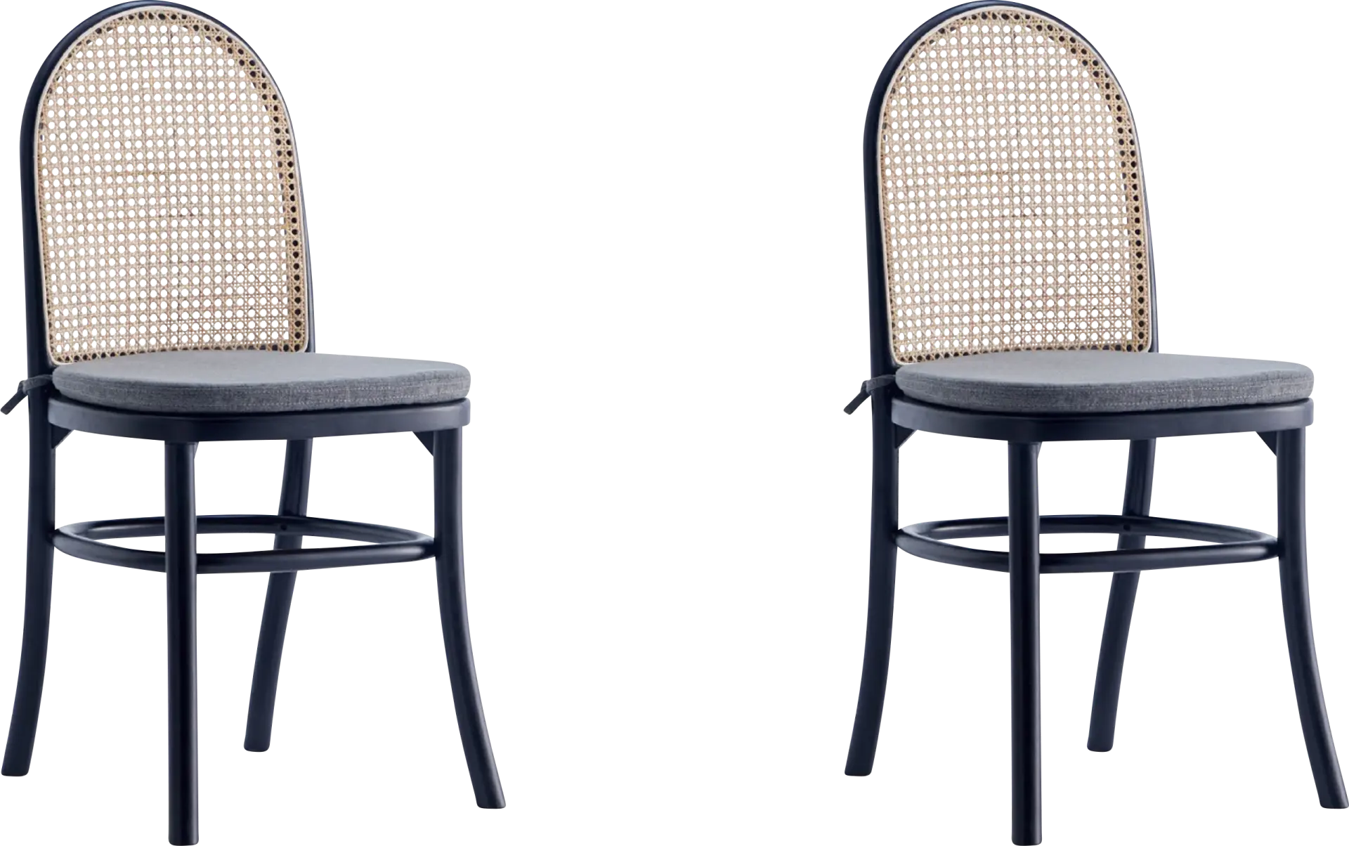 Fruitser Black Side Chair, Set of 2