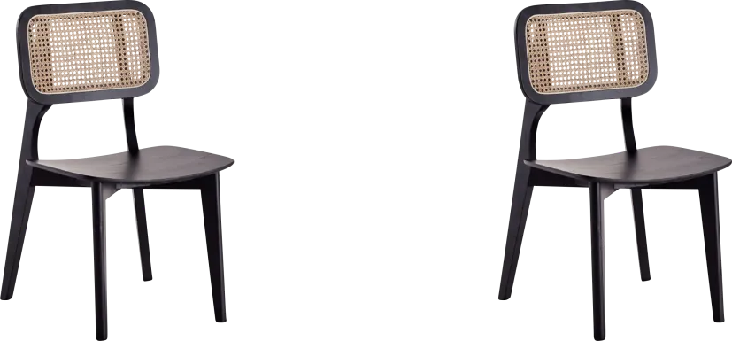 Bodenhamer Black Side Chair, Set of 2