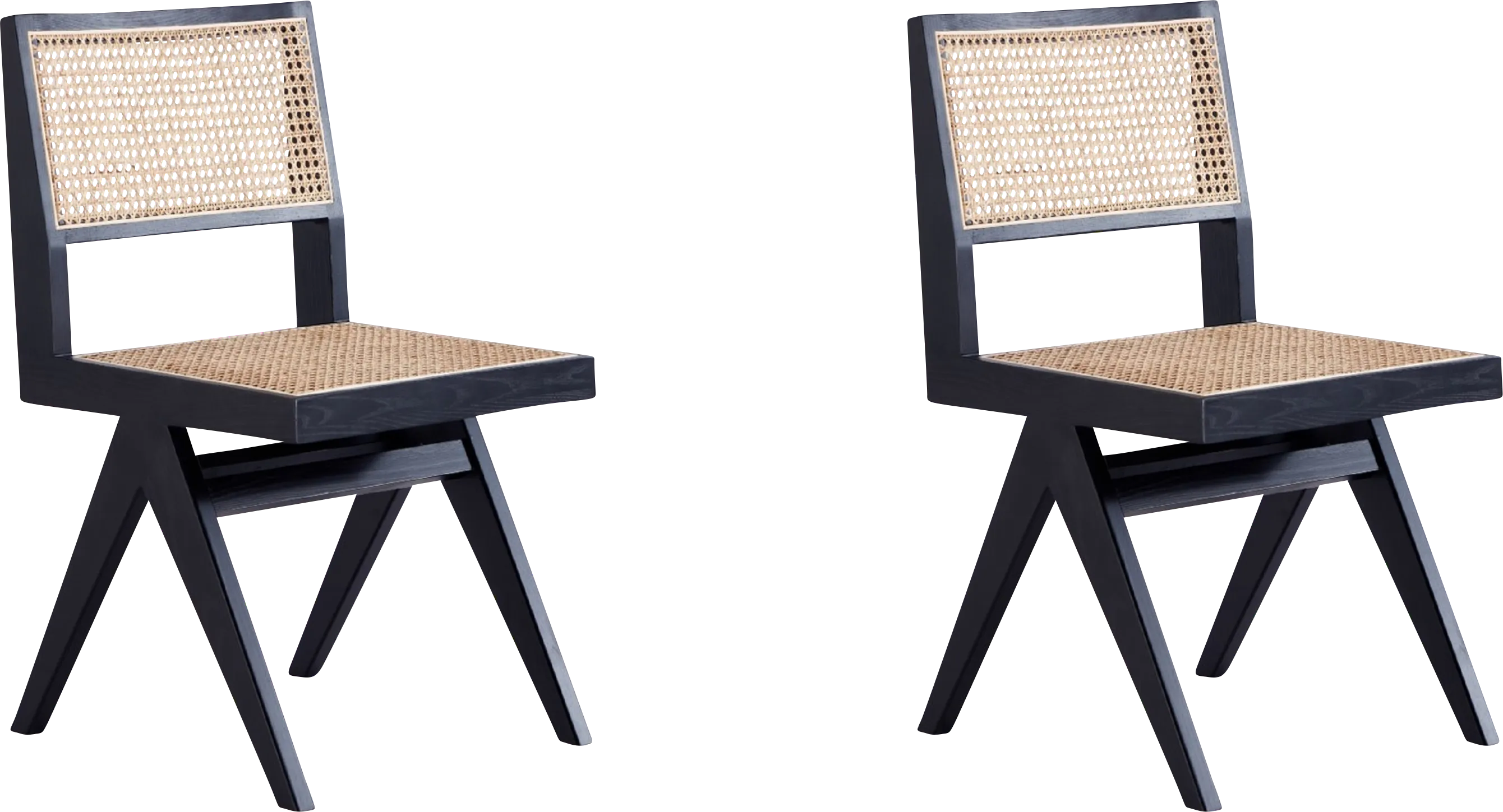 Bluesunny Black Side Chair, Set of 2 - Thumbnail - Image 1
