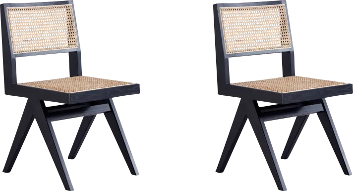Bluesunny Black Side Chair, Set of 2