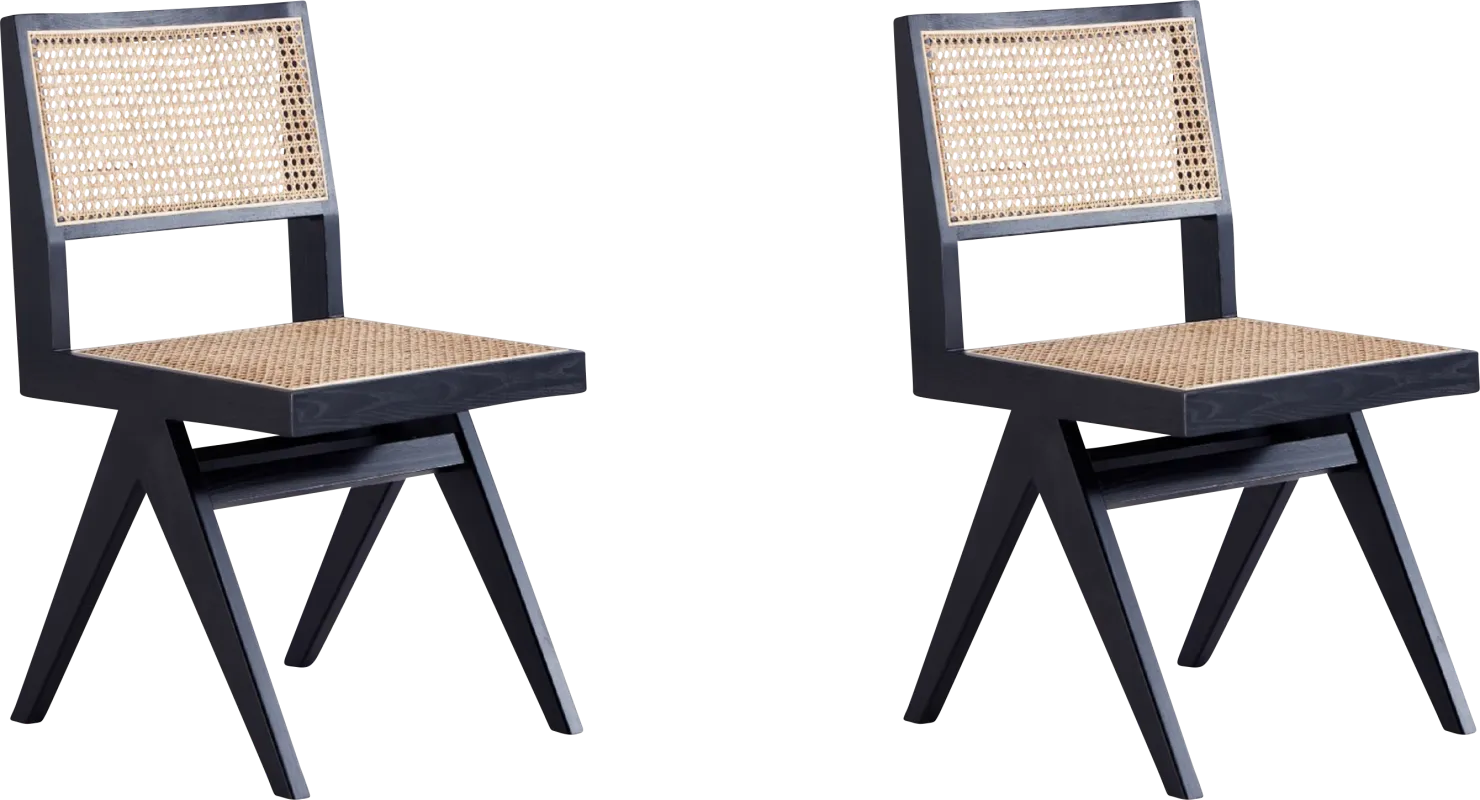 Bluesunny Black Side Chair, Set of 2