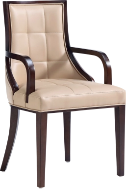 Cahabay Tan Arm Chair