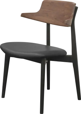 Antar Black Side Chair, Set of 2