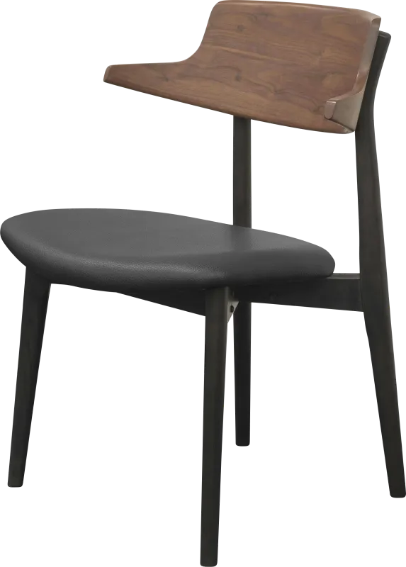 Antar Black Side Chair, Set of 2