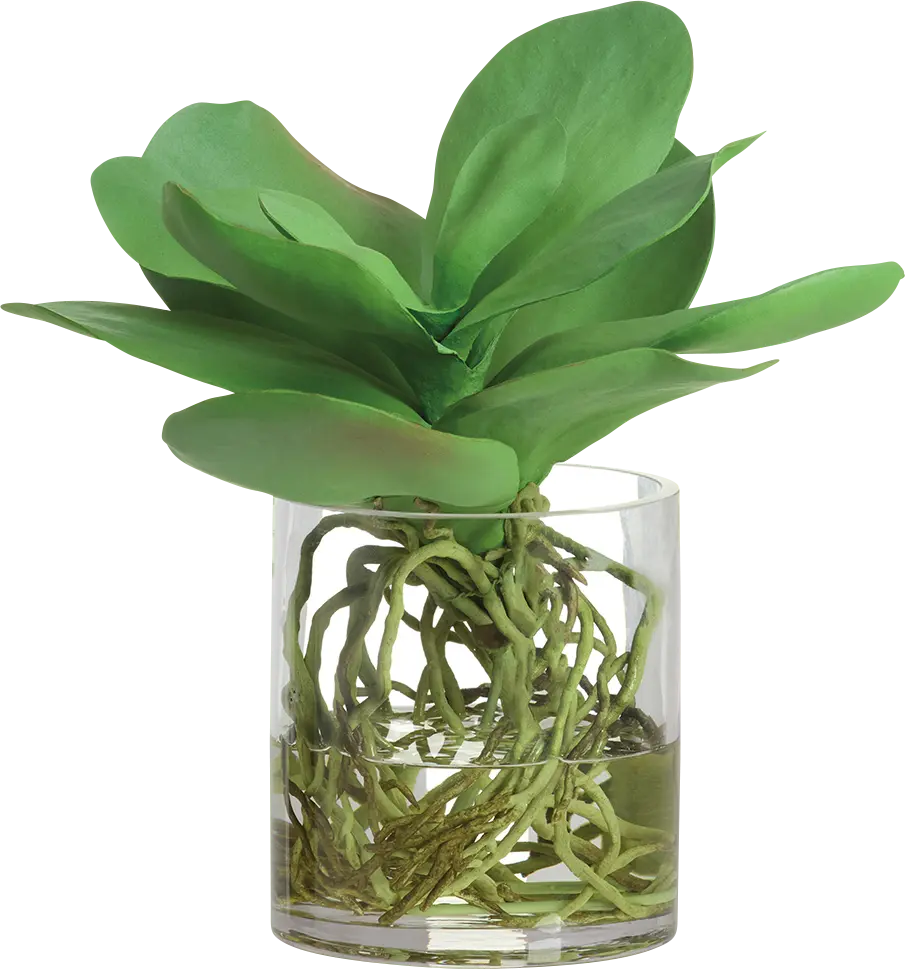 Agereth Green Silk Plant