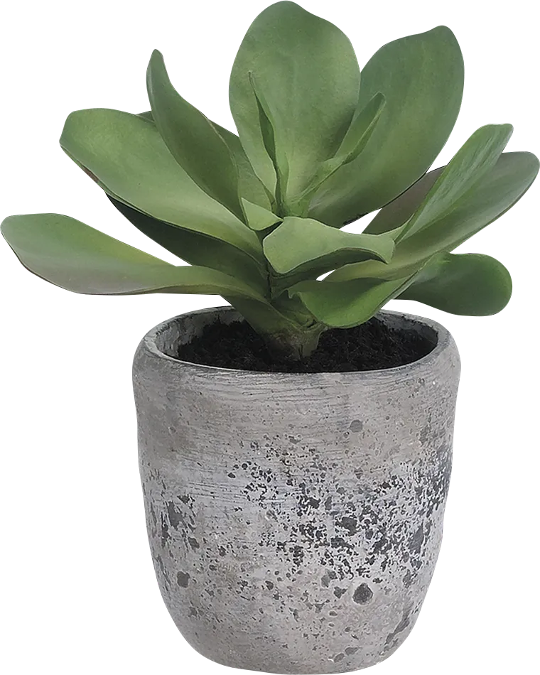 Ianan Green Artificial Plant - Thumbnail - Image 1