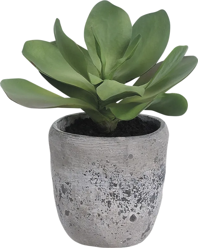 Ianan Green Artificial Plant