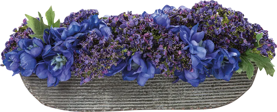 Konru Purple Silk Plant - Thumbnail - Image 1