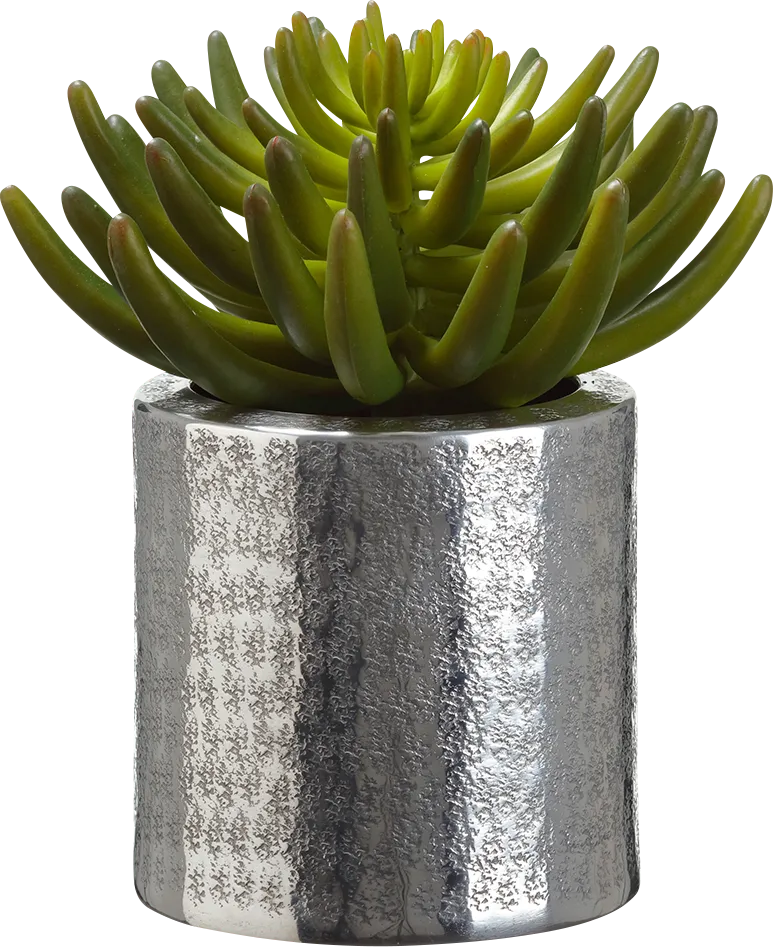 Tafer Green Silk Plant - Thumbnail - Image 1