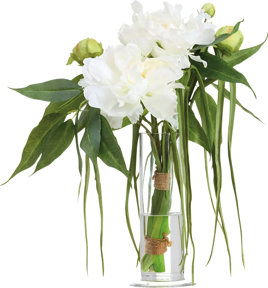 Treder White Silk Plant - Thumbnail - Image 1